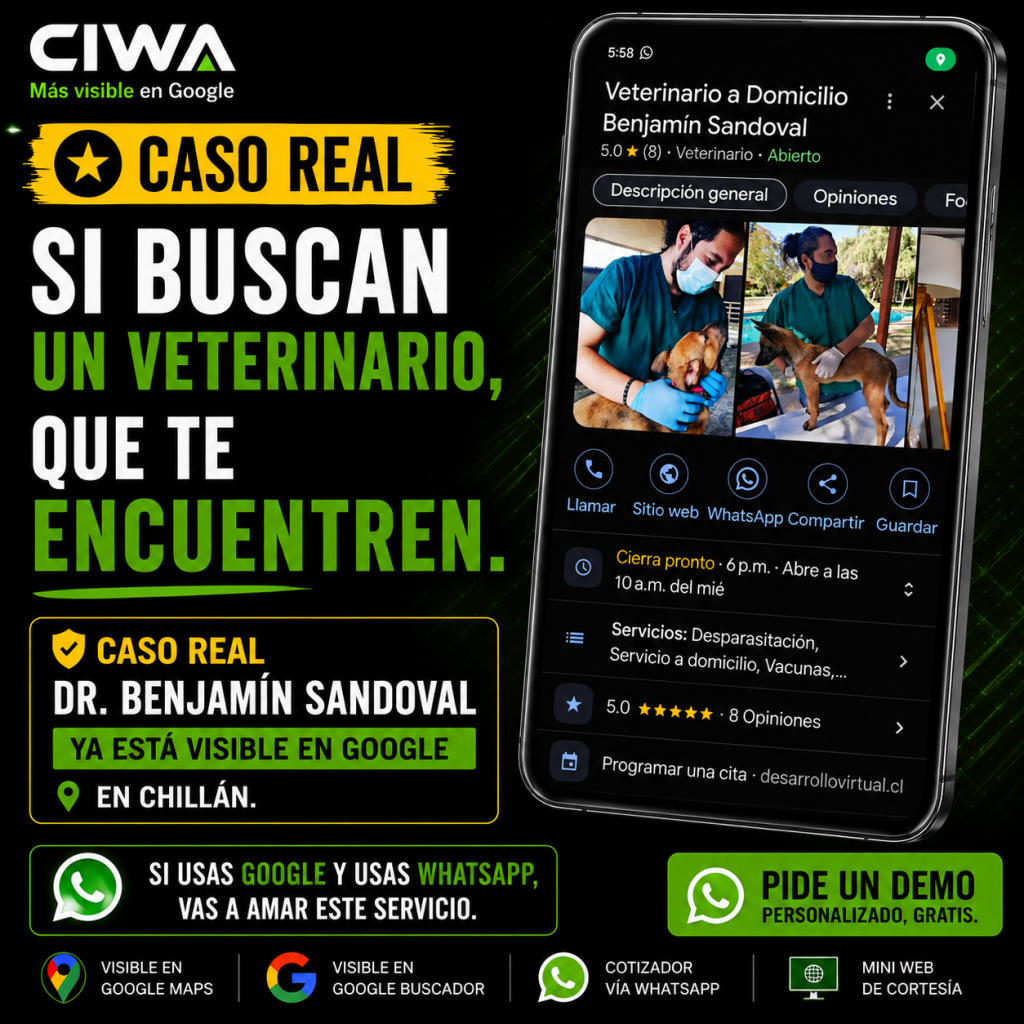 Veterinario a domicilio en Chillán visible en Google Maps con SEO Local de CIWA
